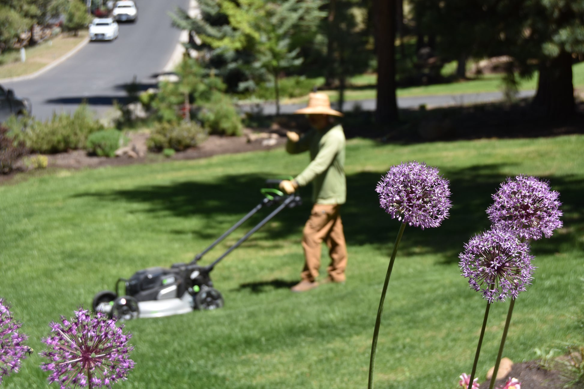 Premium Weekly Lawn Care Package Subscription