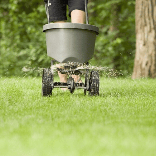 One-time Fertilizer