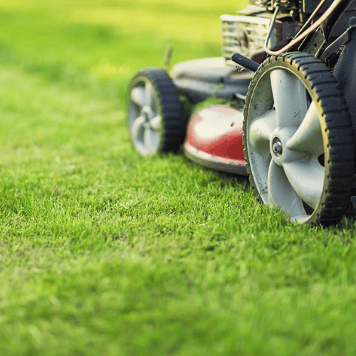 One-time Lawn Mow